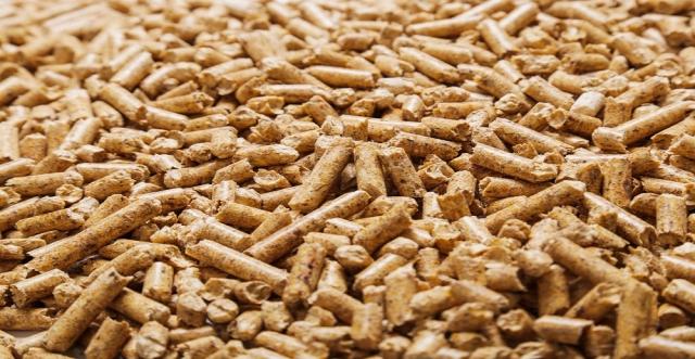 Enhancing Livestock Nutrition: Exploring the World of Feed Additives